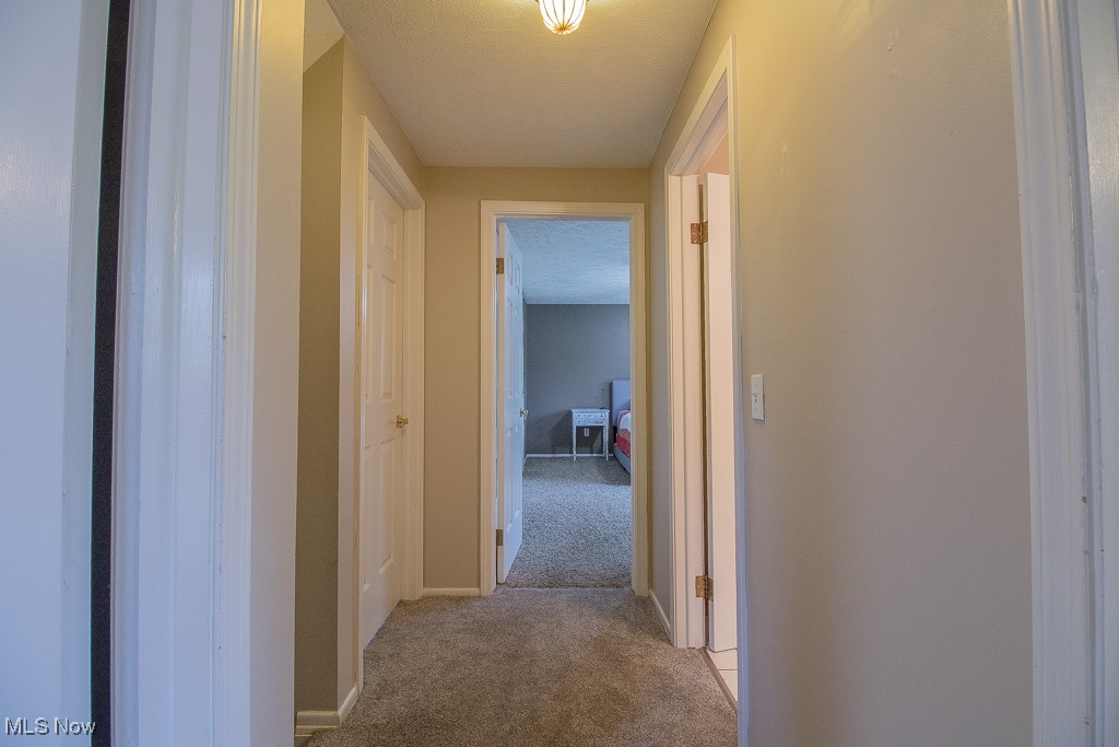 10393 Revere Court, Painesville, Ohio image 34