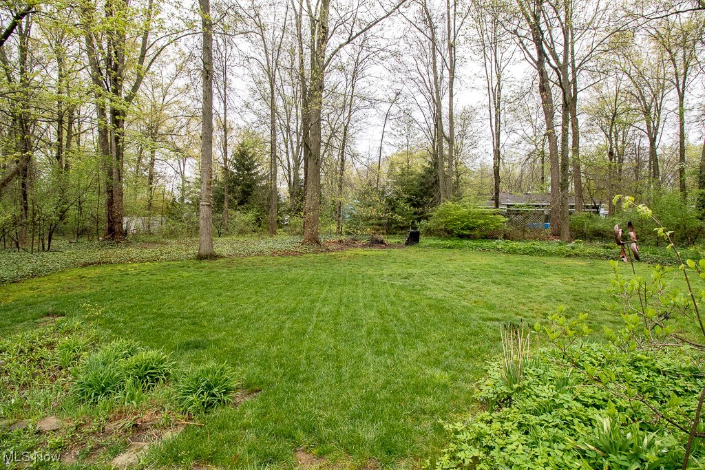 10393 Revere Court, Painesville, Ohio image 42