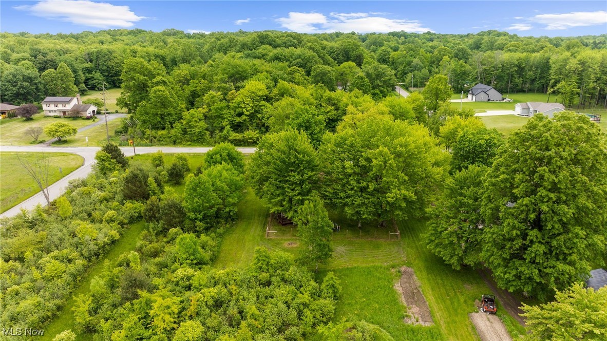 1304 Sodom Hutchings Road, Vienna, Ohio image 33