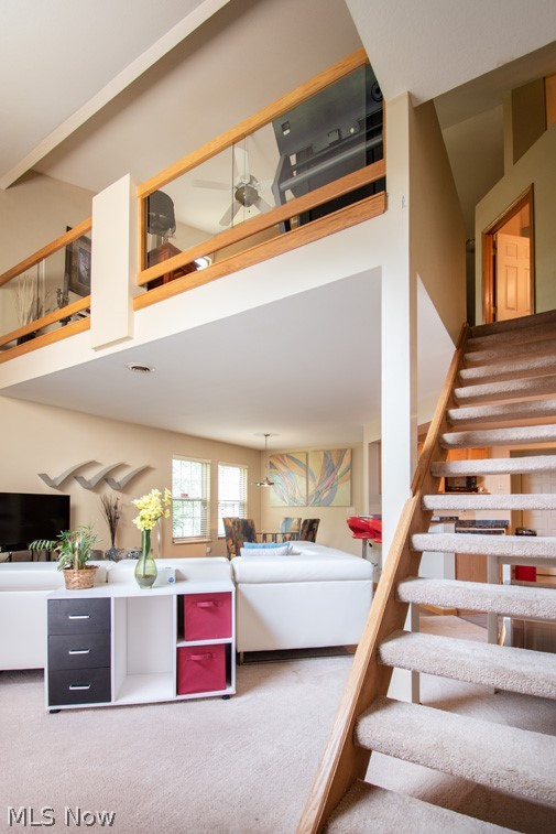 Spring Run Development - Residential