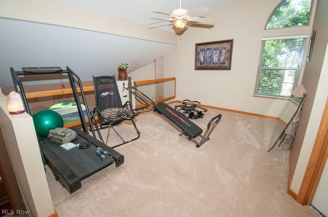 Spring Run Development - Residential