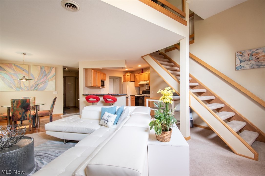 Spring Run Development - Residential