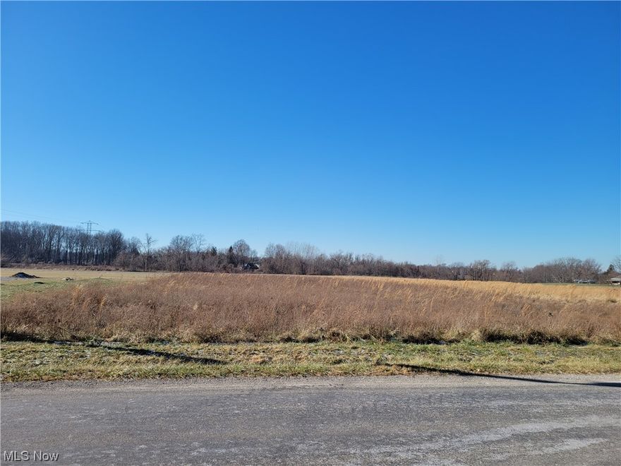 Two acres of quiet country living awaits your custom dream home! Take a walk down your new street to overlook the beautiful Mill Hollow River Reservation. This grated and cleared lot is the last available on a secluded, dead-end street. Still only minutes away from both downtown Vermilion and Amherst. This unique and sprawling land is ready for you to break ground!