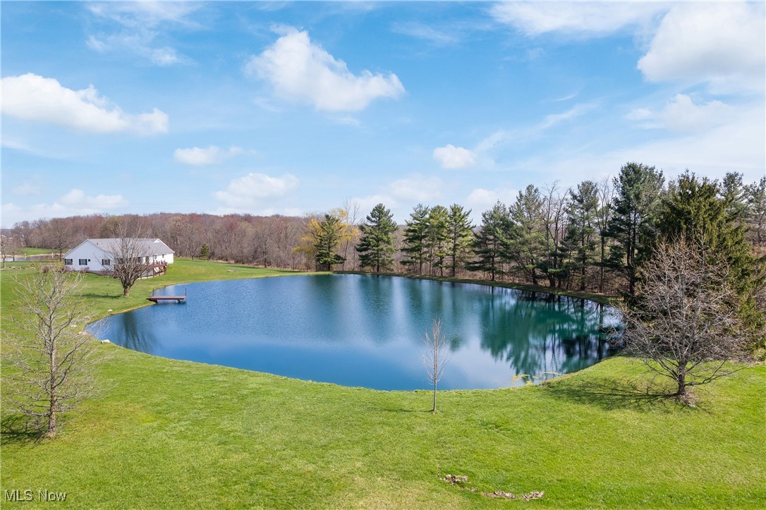 3827 Abbeyville Road, Medina, Ohio image 4