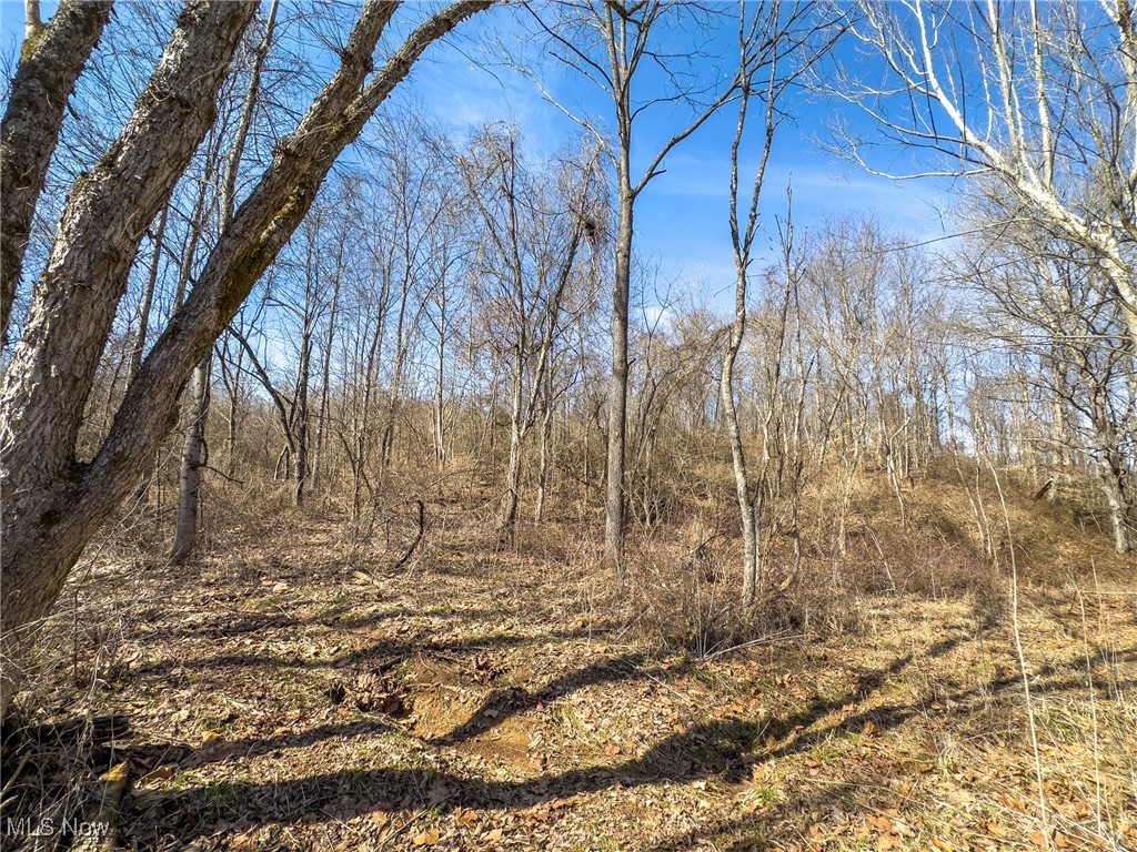 Woodyard Road, Stockport, Ohio image 10
