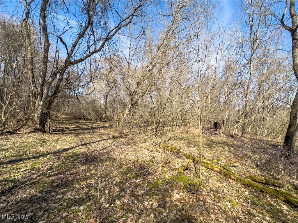 Woodyard Road, Stockport, Ohio image 13