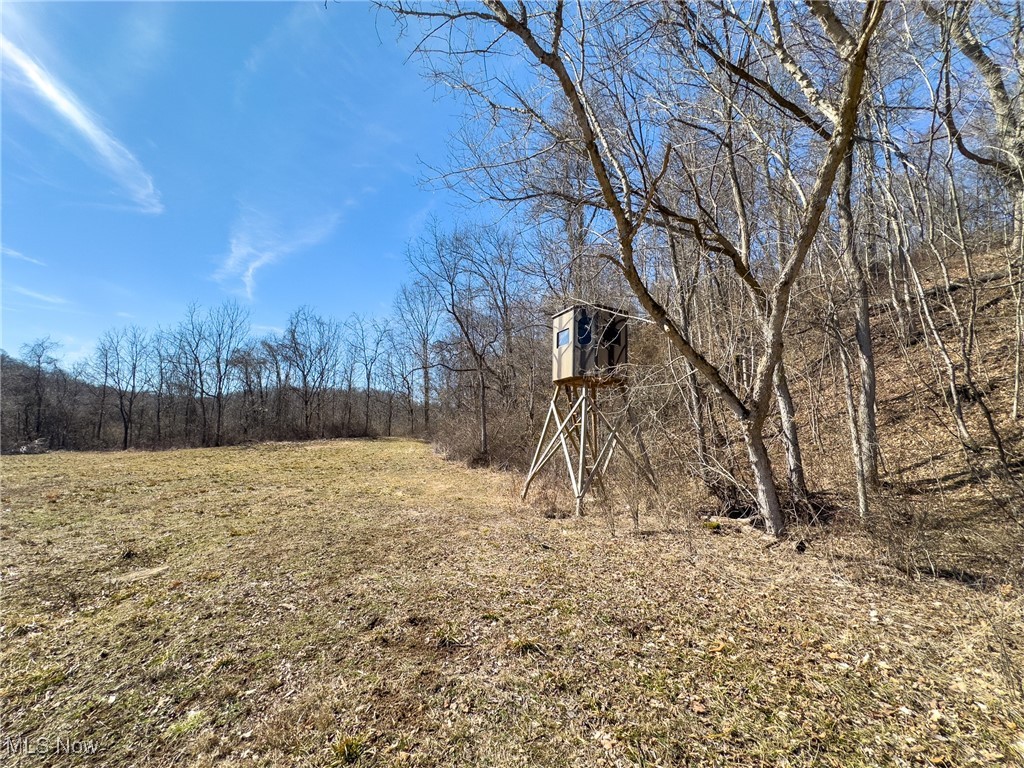 Woodyard Road, Stockport, Ohio image 12