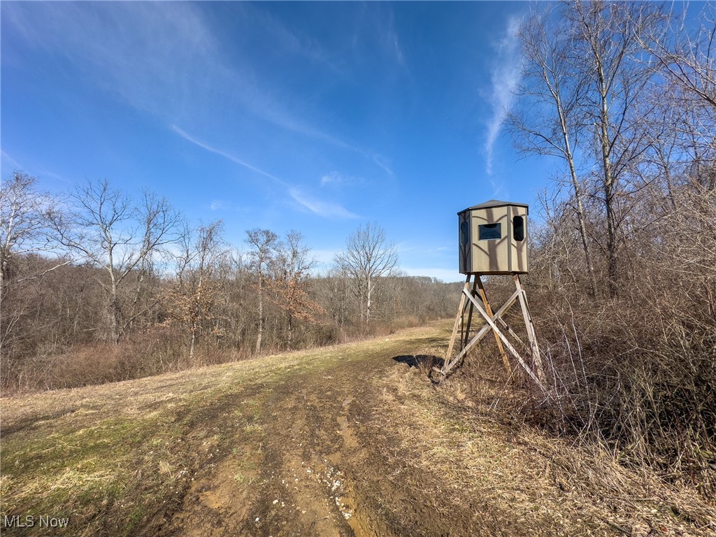 Woodyard Road, Stockport, Ohio image 4