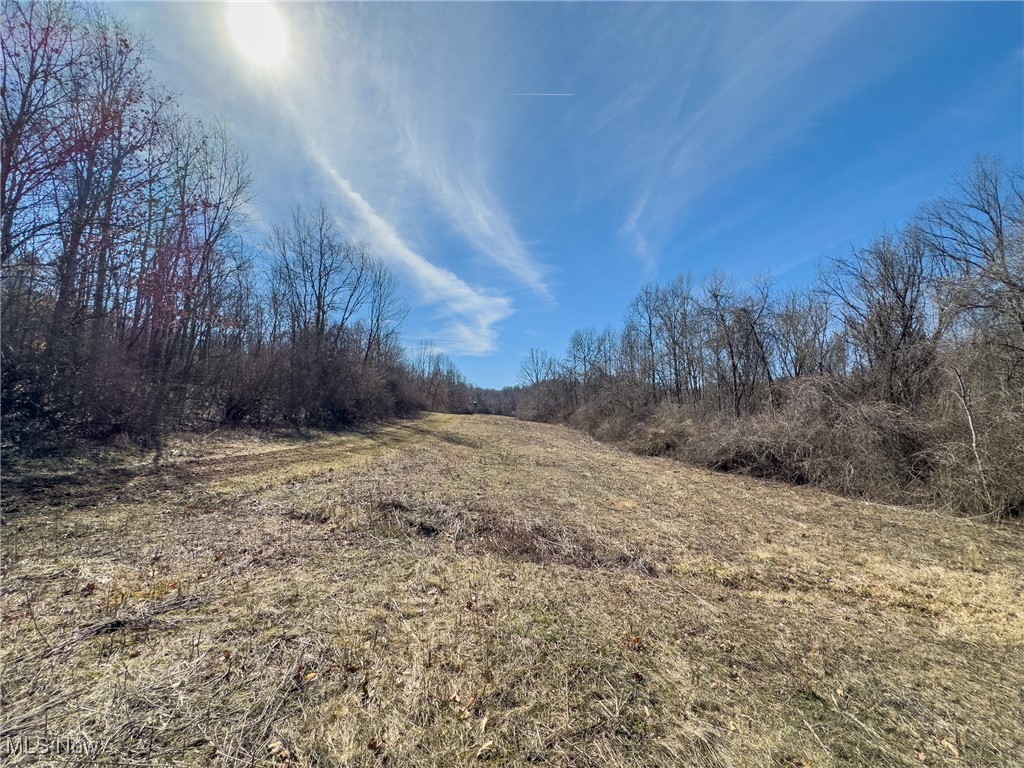Woodyard Road, Stockport, Ohio image 9