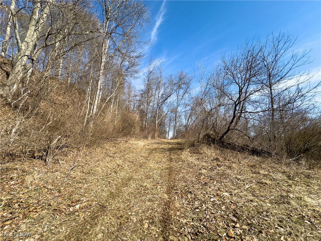 Woodyard Road, Stockport, Ohio image 17