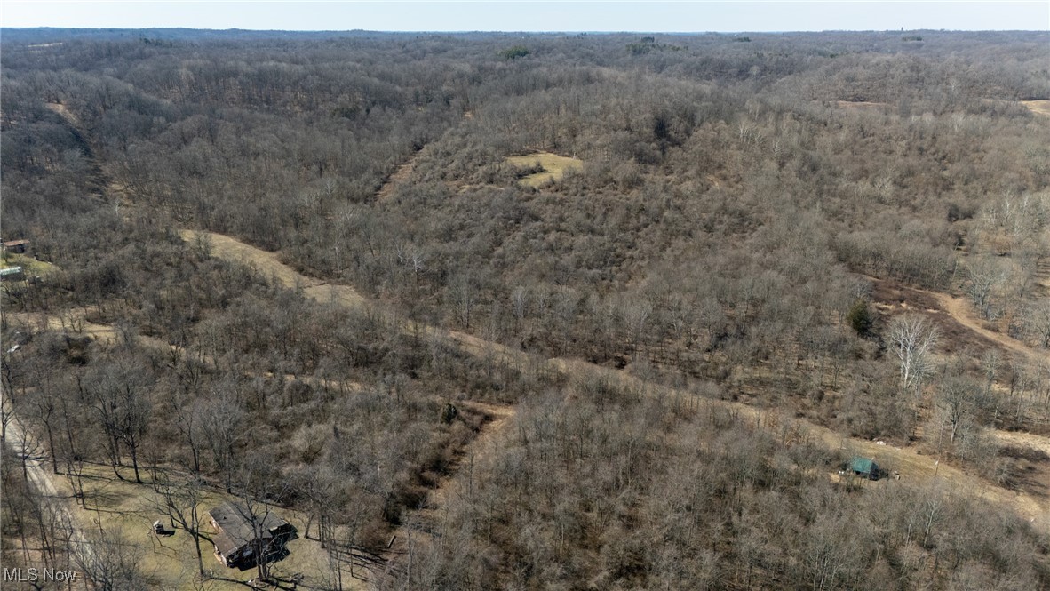 Woodyard Road, Stockport, Ohio image 3