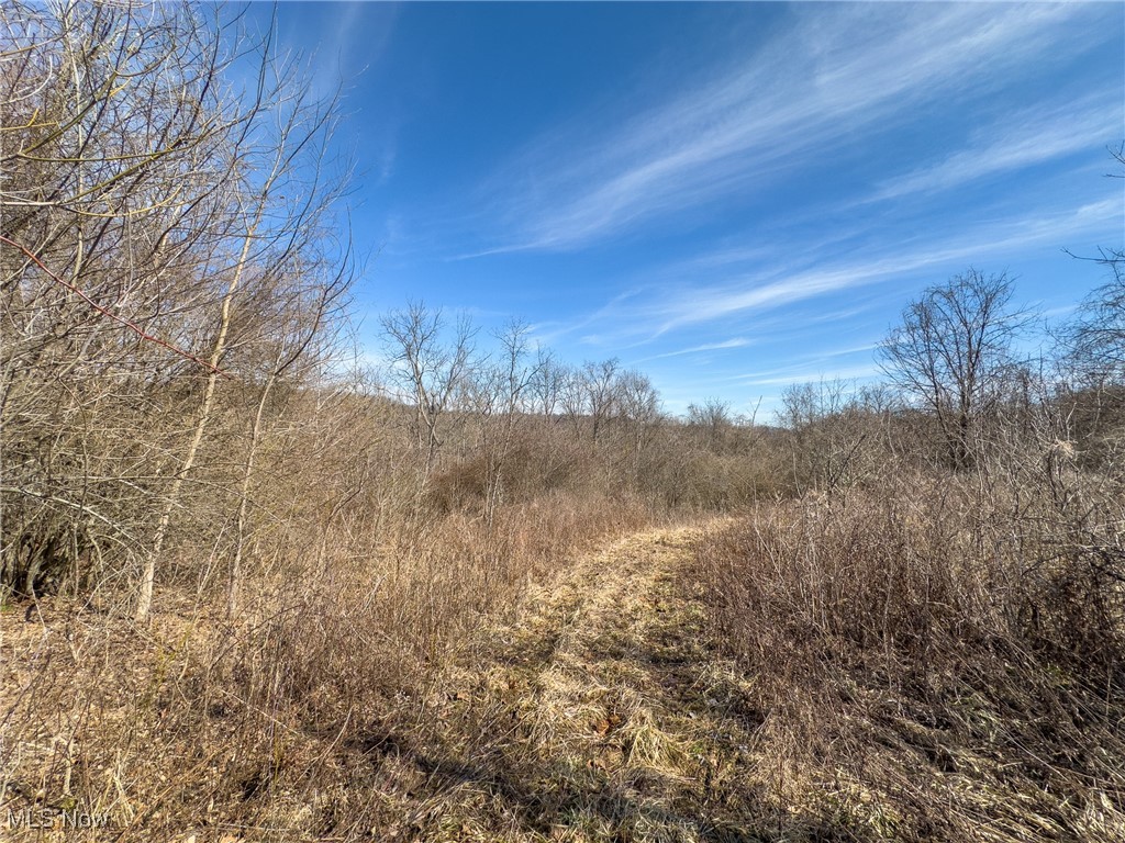 Woodyard Road, Stockport, Ohio image 15
