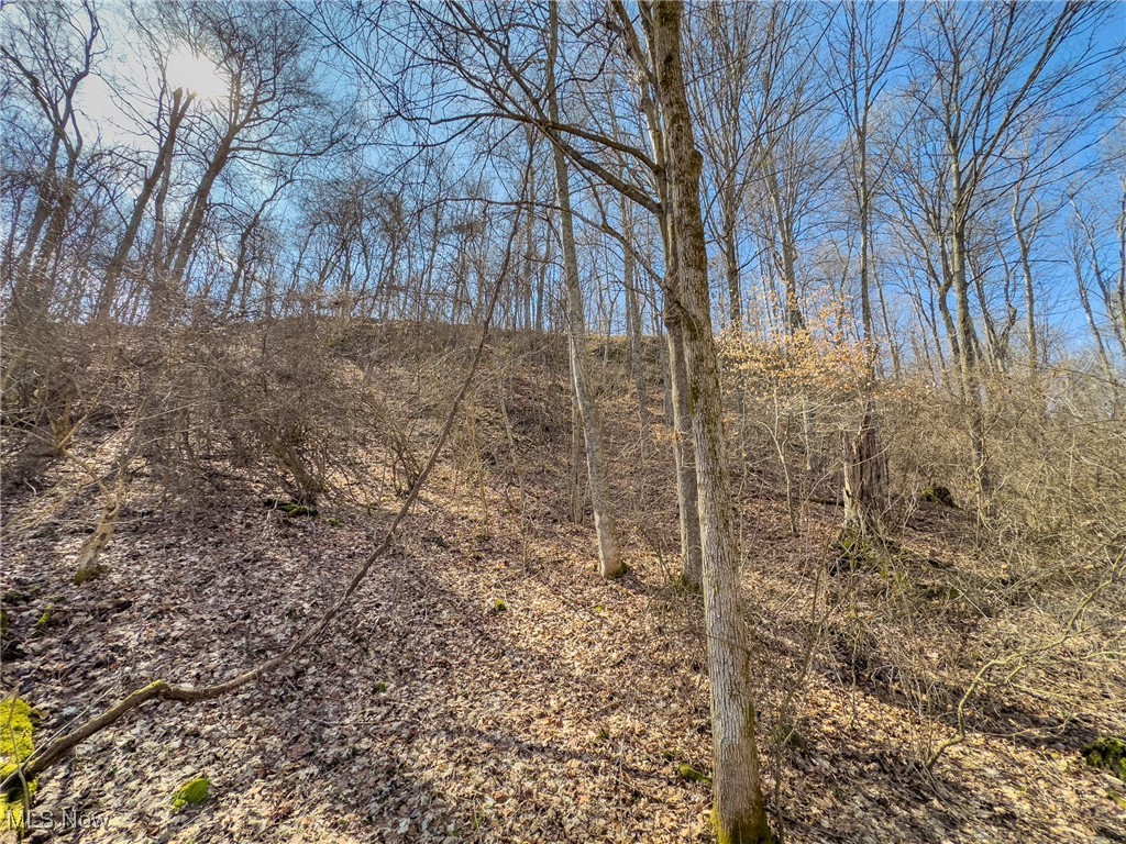 Woodyard Road, Stockport, Ohio image 14
