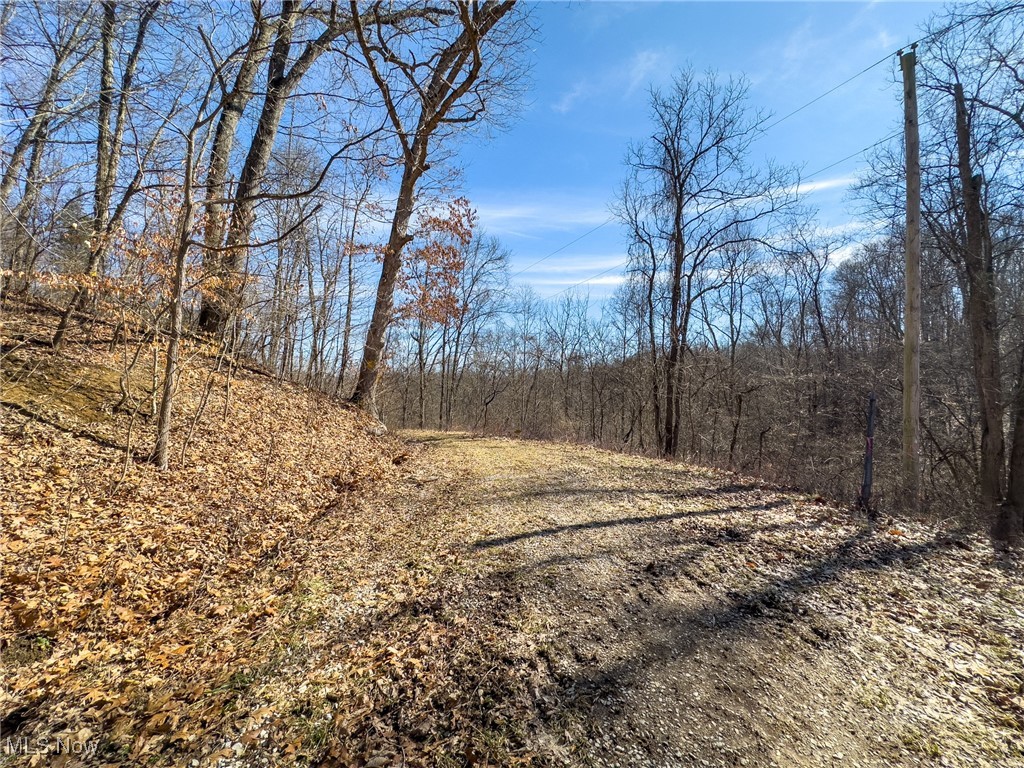 Woodyard Road, Stockport, Ohio image 16