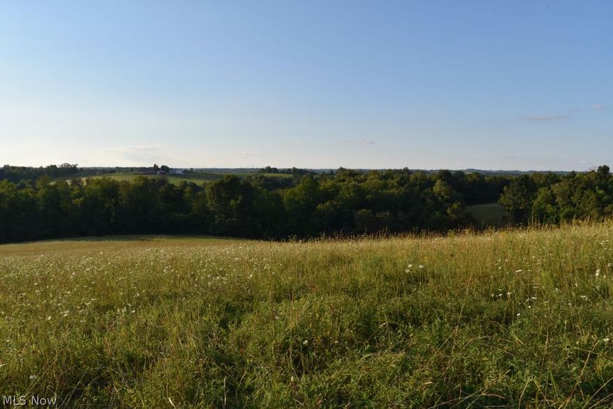 Remarkable 31.28 acres with some trees and beautiful views.