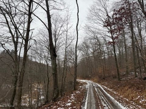 Vacant Land For Sale - Rear Township Road<br/> Lewisville, OH 43754