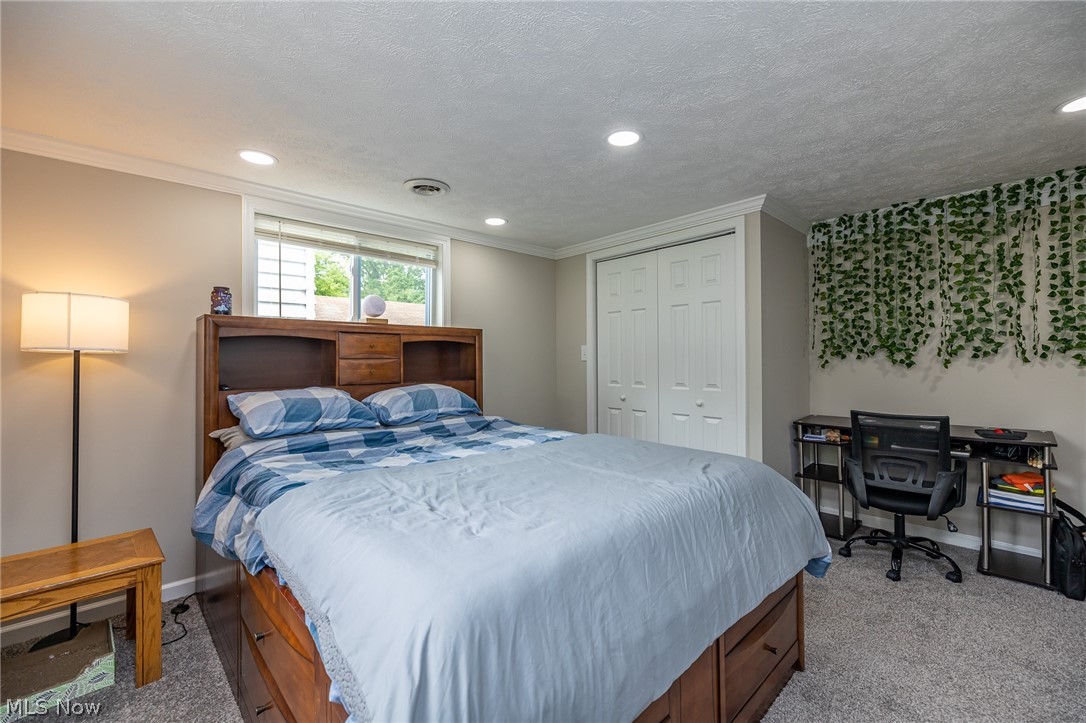 Carlisle Homes Allotment - Residential