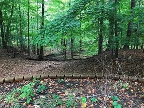 French Hollow 02 - Residential