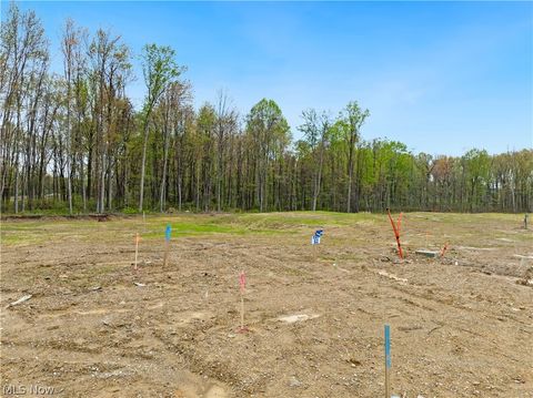 Photo of 9525 River Birch Run, Brecksville, OH 44141 (MLS # 5207669)