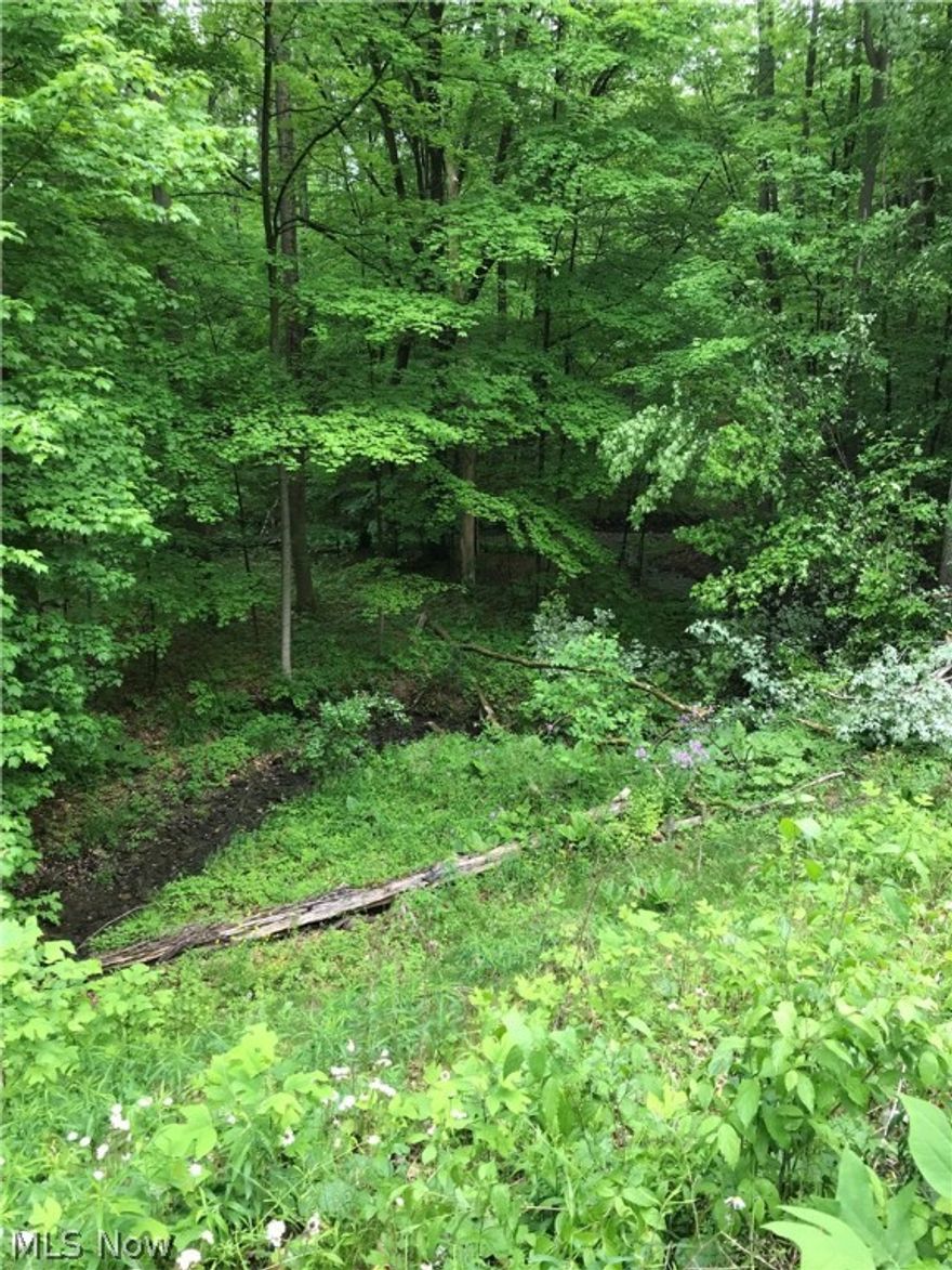 This is a beautiful piece of land – 5.067 acres. It is wooded with mature trees and there is also a seasonal dry creek that crosses the property diagonally. Lot dimensions are 385' x 542'. Front left corner facing the lot is level - approximately 1/2 to 1/3 acre -  as is the back right corner.