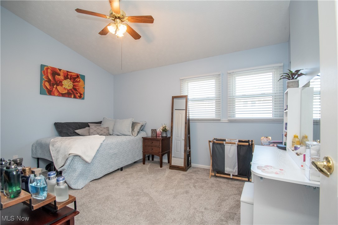 3803 Mercedes Place, Canfield, Ohio image 18