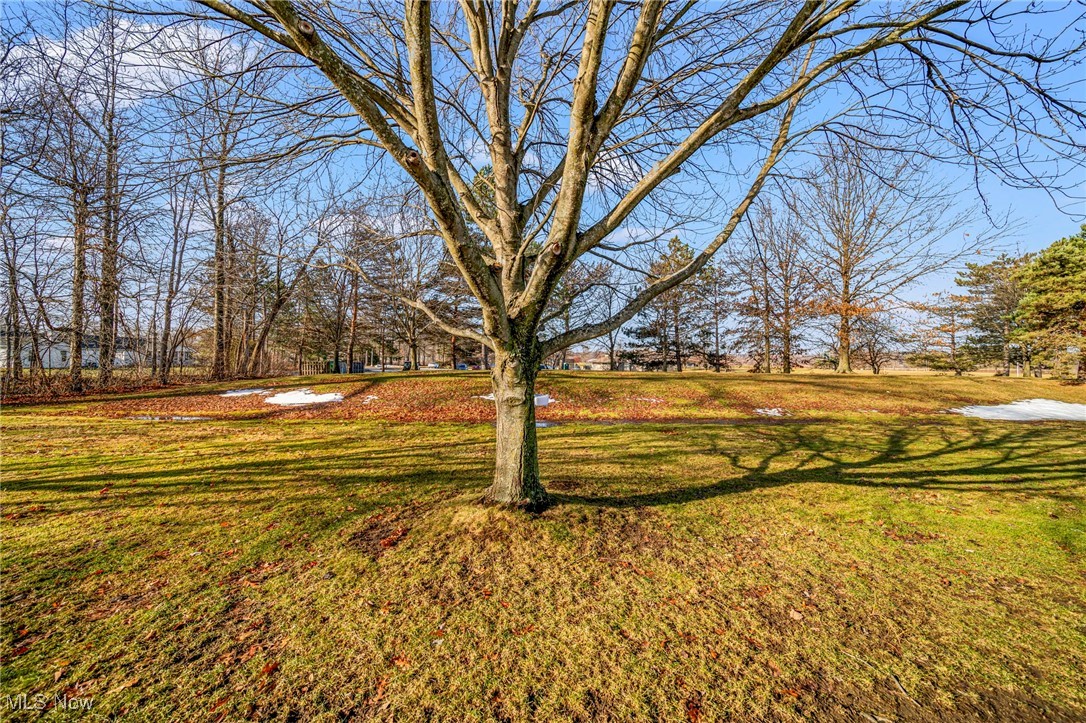 Farmington Meadows - Residential