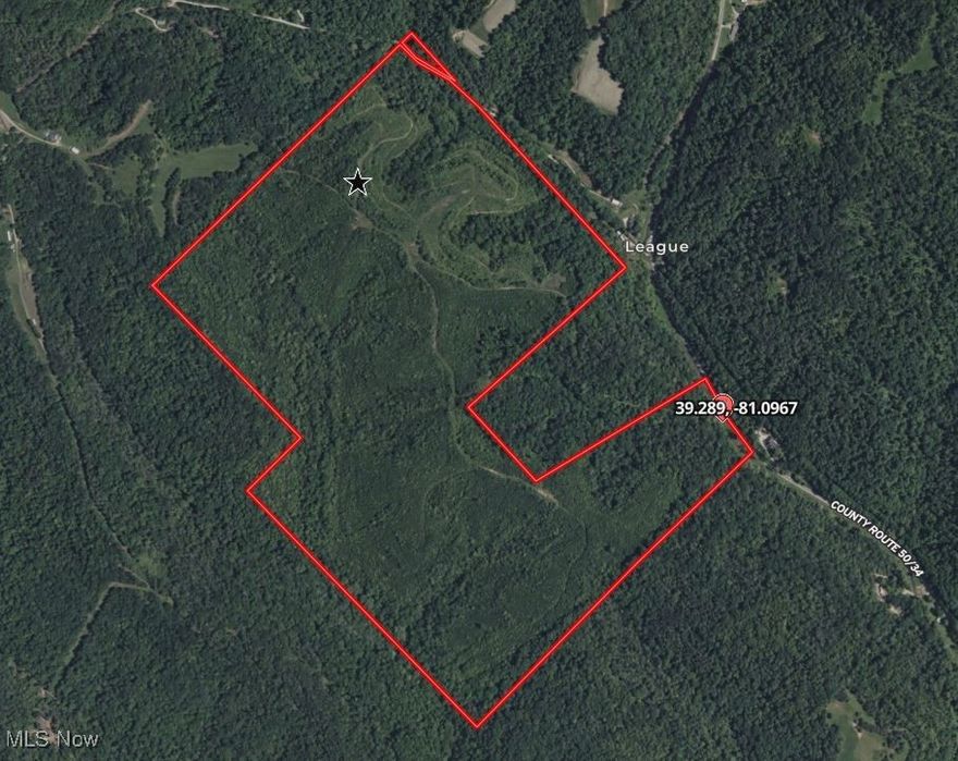 This expansive 226-acre tract is conveniently located just a 15-minute drive from St. Marys and only 4 minutes from Ellenboro. Its secluded setting on a low-traffic road makes it an ideal retreat for recreational enthusiasts. The land features the typical terrain of this region, characterized by rolling hills and ridge tops. Previously timbered, the property now offers excellent cover for wildlife, with several mature wooded areas providing a rich food source for deer, bear, and other animals. The extensive trail and road system is well-maintained, making it easily accessible by SUV or truck. Additionally, the ridgetops offer stunning views of the valleys and surrounding farms.