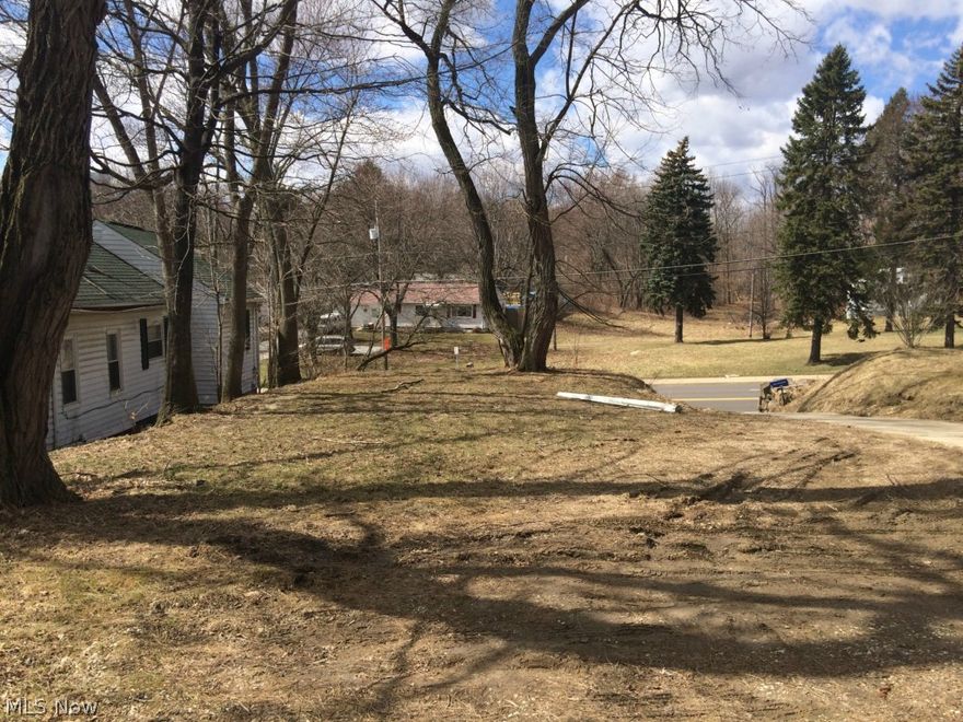 Vacant land in Barberton.  Previous home was razed.  This is a Fannie Mae HomePath Property.