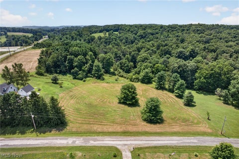 Vacant Land For Sale - 228 Pineview Lane<br/> Carrollton, OH 44615