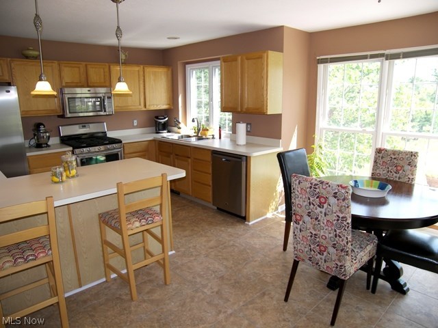 The Meadows at Ethan's Green - Residential