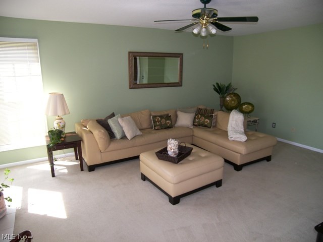 The Meadows at Ethan's Green - Residential