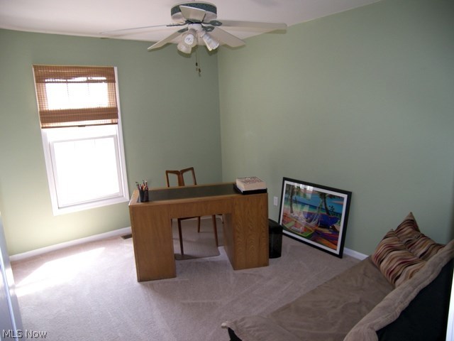 The Meadows at Ethan's Green - Residential