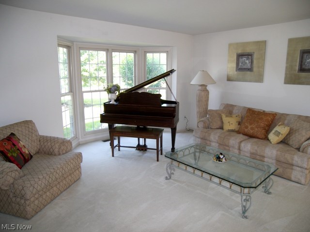 The Meadows at Ethan's Green - Residential