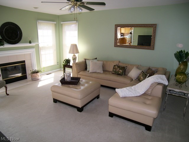 The Meadows at Ethan's Green - Residential