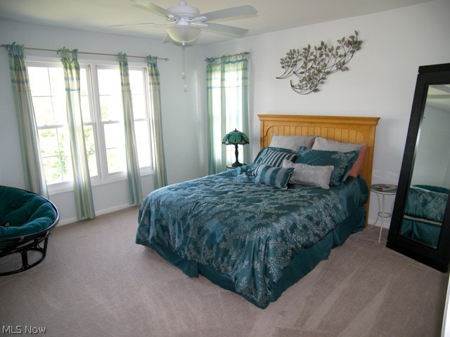 The Meadows at Ethan's Green - Residential