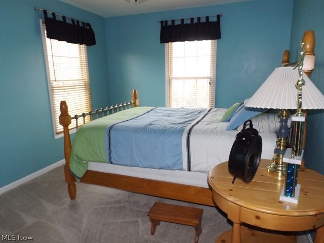 The Meadows at Ethan's Green - Residential