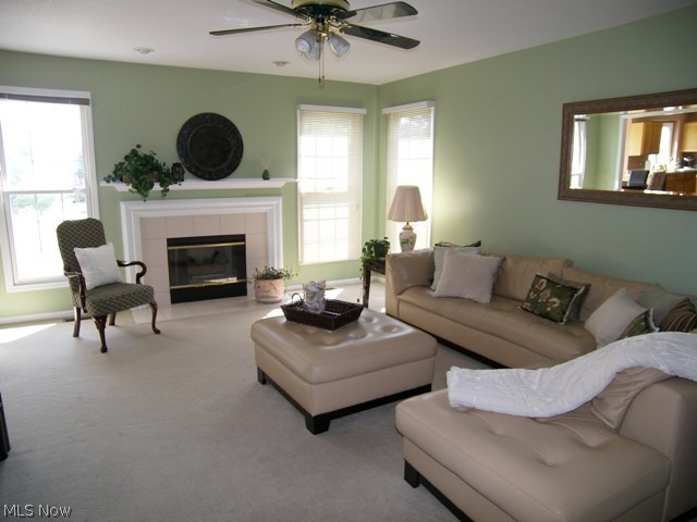 The Meadows at Ethan's Green - Residential