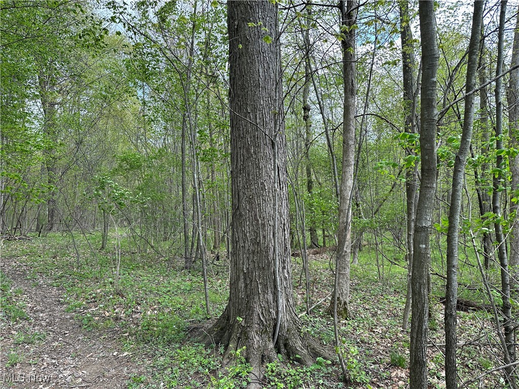 7610 State Route 309