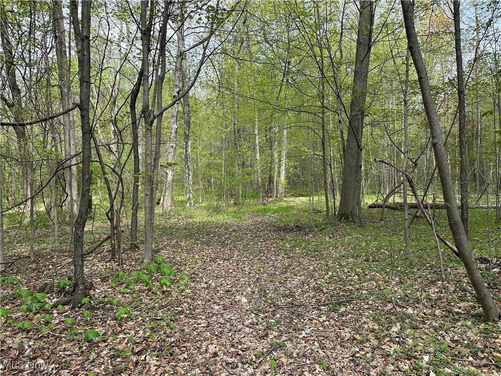 7610 State Route 309