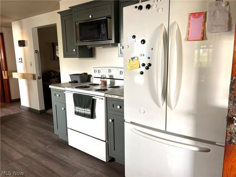 Tiny photo for 486 E Clark Street, East Palestine, OH 44413 (MLS # 5192453)