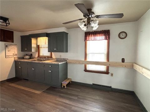 Tiny photo for 486 E Clark Street, East Palestine, OH 44413 (MLS # 5192453)