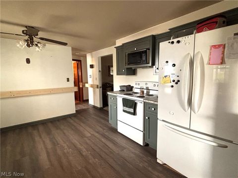 Tiny photo for 486 E Clark Street, East Palestine, OH 44413 (MLS # 5192453)