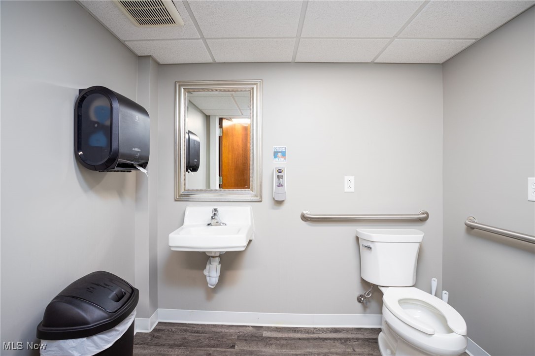 Forest Park Allotment - Commercial Sale