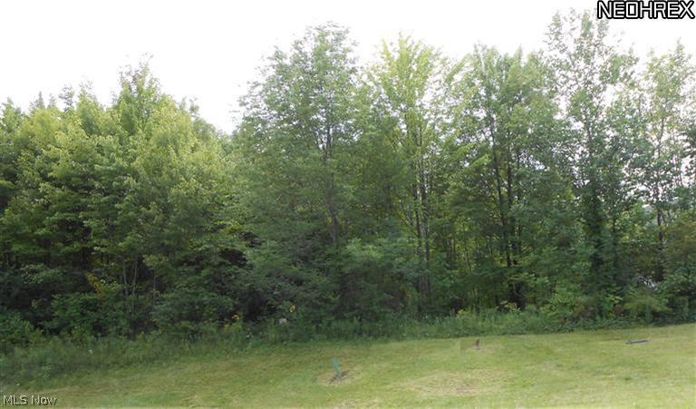 Improved lot in beautiful Crown Pointe Estates. Sensational countryside surroundings, great for nature lovers. Picturesque views yet close to major thorough fares, schools, churches, shopping, recreational, theatrical and musical facilities (Sarah's Vineyard, Weathervane Community Playhouse, Blossom Music Center). Premier location just waiting for your dream home.