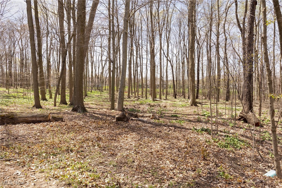 970 Centerville Trail, Aurora, Ohio image 37