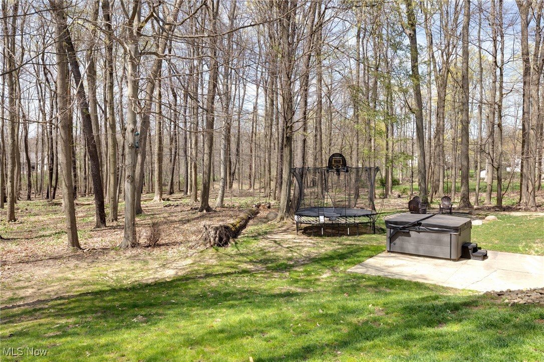 970 Centerville Trail, Aurora, Ohio image 39
