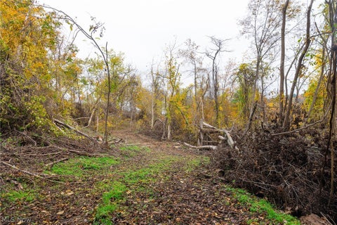 Tiny photo for Crescent Road, St Clairsville, OH 43950 (MLS # 5255678)