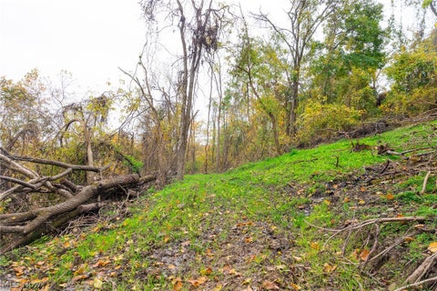 Tiny photo for Crescent Road, St Clairsville, OH 43950 (MLS # 5255678)