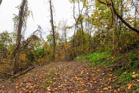 Tiny photo for Crescent Road, St Clairsville, OH 43950 (MLS # 5255678)