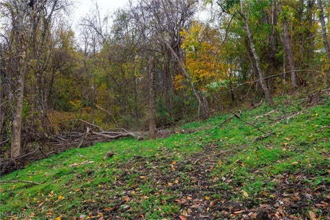 Tiny photo for Crescent Road, St Clairsville, OH 43950 (MLS # 5255678)